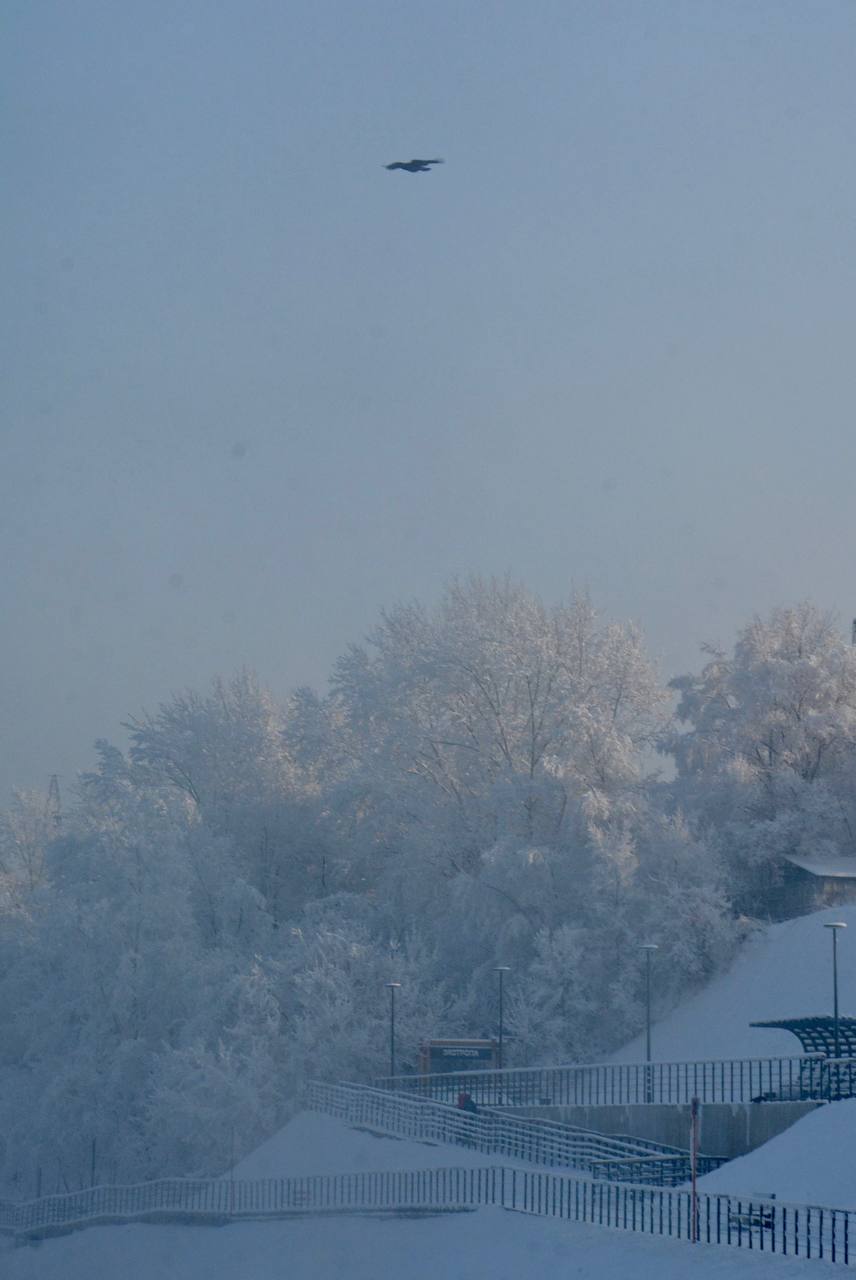 Красноярских морозных пейзажей вам в ленту! Красноярских морозных пейзажей вам в ленту!