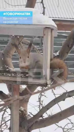 ����������� ����������� ������