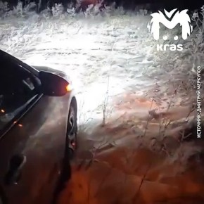 Мэр Минусинска улетел в кювет по дороге в Красноярск