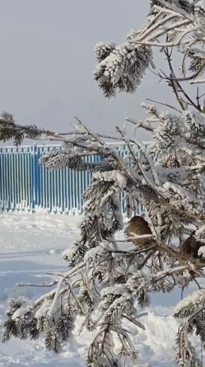 Погода на 27 января. ТВК