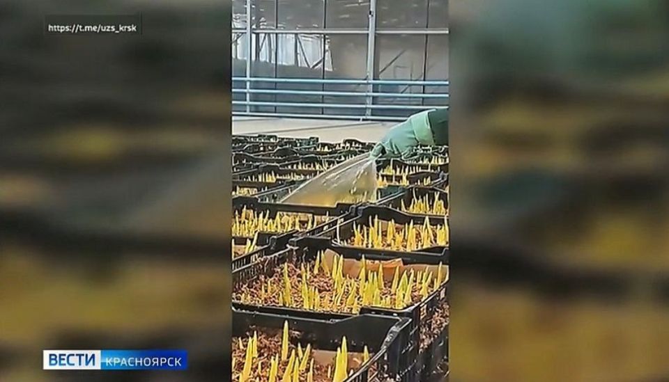 � �������� ����������� �������� �������� ���������� ��������� � ���������� ����������