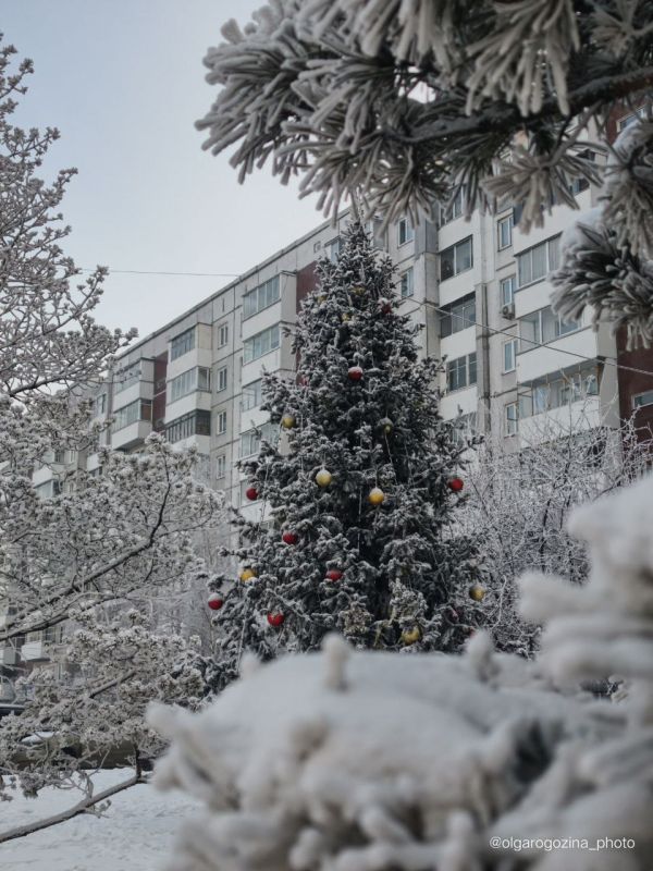 �������� ���������� ���� ����������� �� ��������� ������� ������ ������