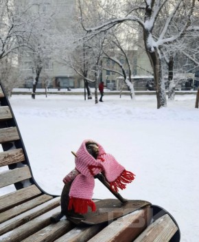 �������� ������ ��� �������