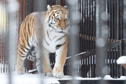 ���� �� ����, ����� �������, �������� ���� ��� ����� ������� ����� �����, �� ������ ��� ����� �������� ��� ���� � ������ ������