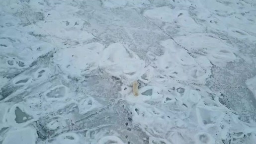 ��������, ����� ������!. ���������� ����� ����� �������� ������������� �� ����� �������� ���� ������ �������� "������"