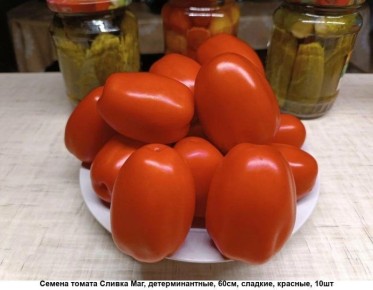 ������� ������: ��� ���������� ����� � ��������� ������ ������ �������� ����������� � ���� �� �����