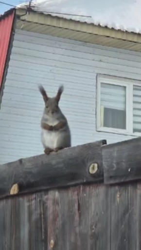 ��� �������� ������� ��� �����