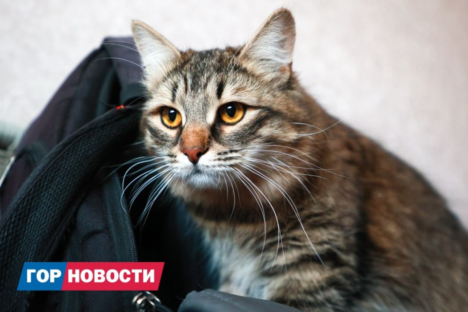 ���� �� ����������� ������� �������� ��������� ��������� �� ����