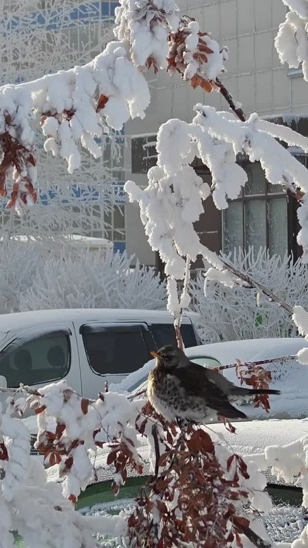 ������ �� 28 ������. ���