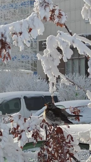 ������ �� 28 ������. ���