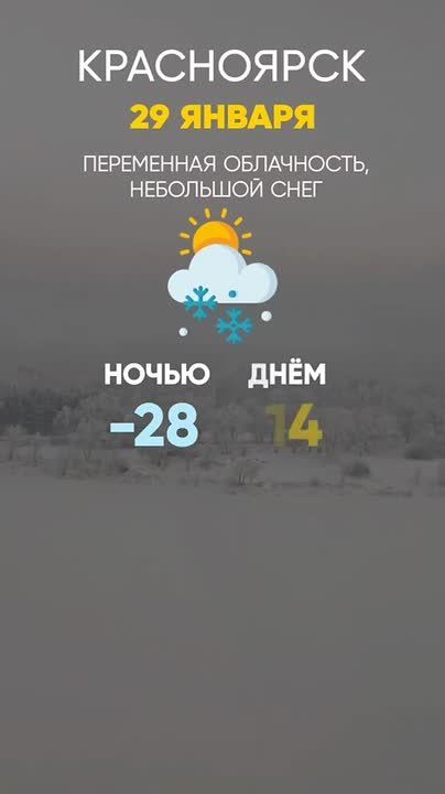 ������ �� 29 ������. ���