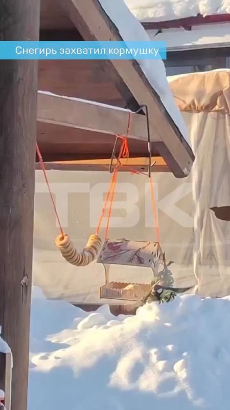 ������ ������� � ����� ����