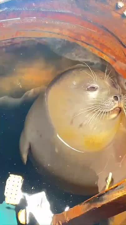 ����� ���������� � ������������ �� ������ ������������� ����