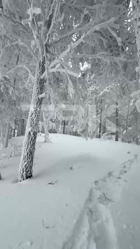 ����� �� �������� � ��������� � ������ ������