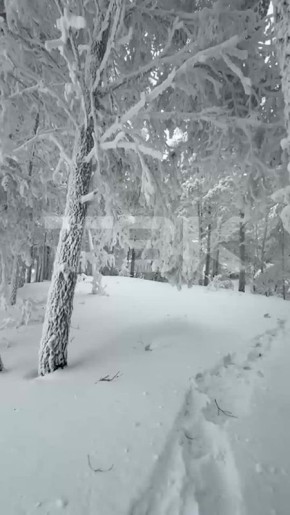 ����� �� �������� � ��������� � ������ ������