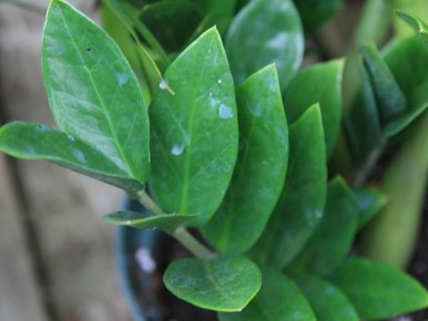 ��� ������� ������������ � ����� � ������� ����� ������