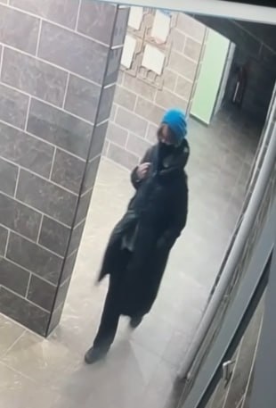 В Красноярске две недели ищут пропавшую в лесу девушку В Красноярске две недели ищут пропавшую в лесу девушку