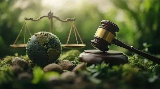 Новые экологические законы 2026 года: как меняется контроль за воздухом и что ждёт за мусор