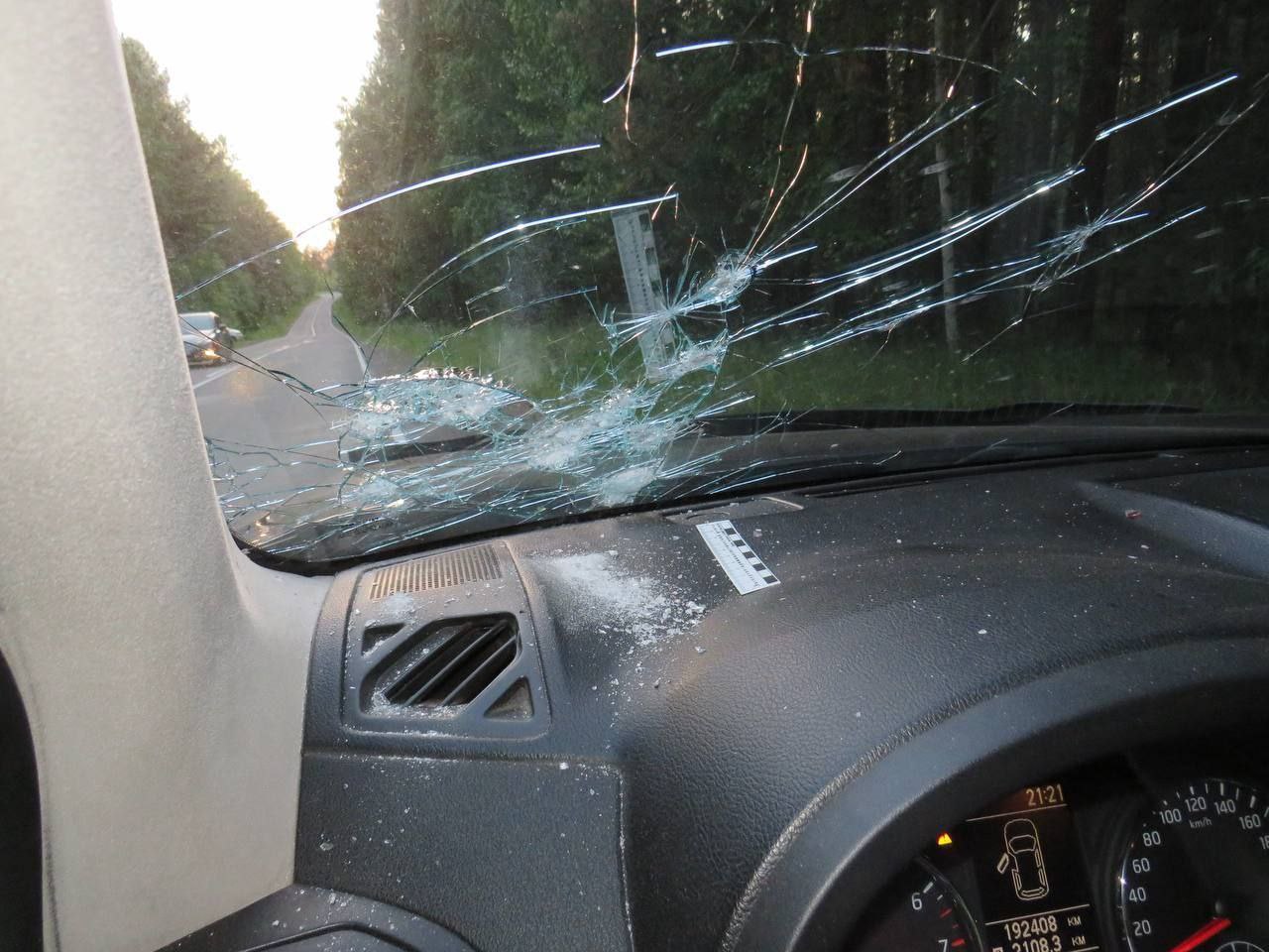 Забор раздора: в Железногорске стрельба по соседям обернулась для пенсионера-дачника колонией Забор раздора: в Железногорске стрельба по соседям обернулась для пенсионера-дачника колонией