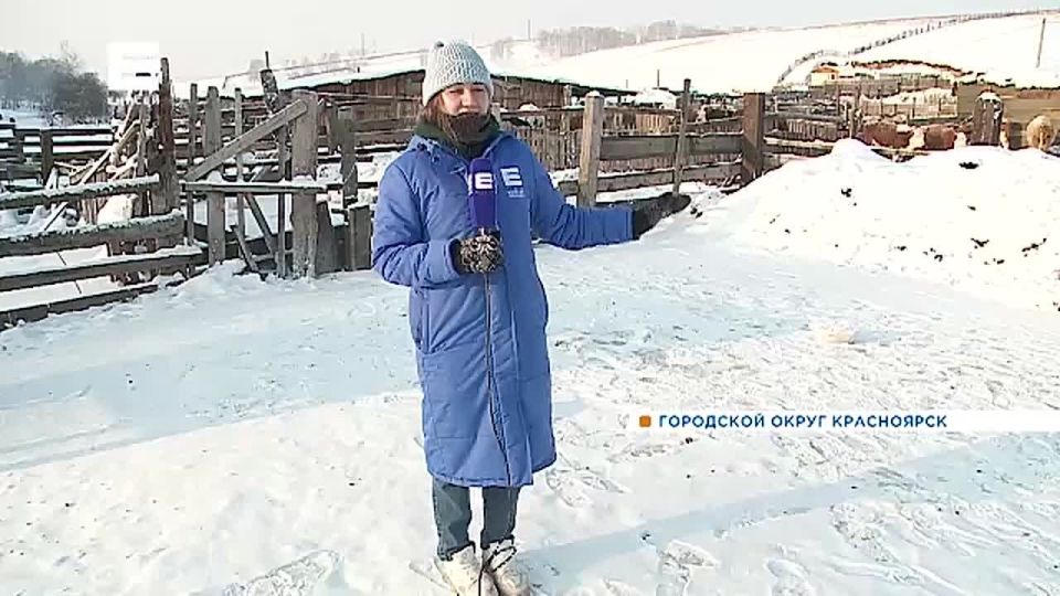 ������ ����� ����� � ���� �������� � �������� � ��������� �����������