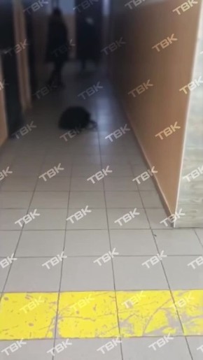 �� ����������, ������� �������� � ��������� �� ����������, ����� ���� ������������� �������� ������