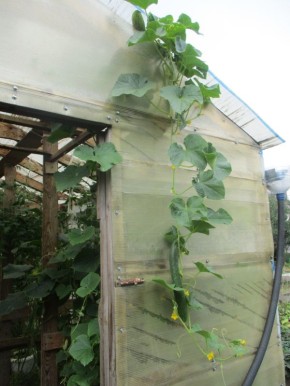 ��� ������� ������ � �������� ���������� ���������� ����� ������ �� ����������