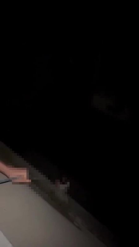 ����� ���� ������� ������� �� ����� �� ���� �����������