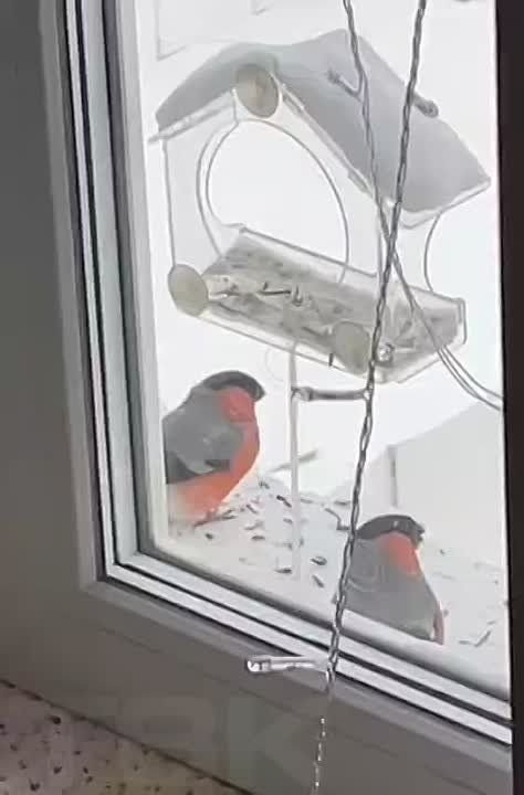 ������� ������� � �� �������