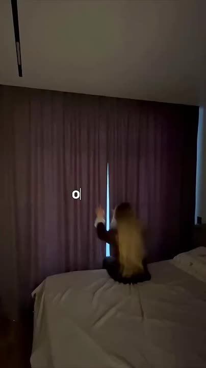 ��� �������� ���������� ����� � �������������� �������?