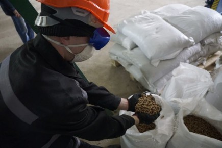 � 2025 ���� ������������ ������ ���� ����������� ���������, ��������� ����� � ������� ����� �� ����� ����� 3 ����