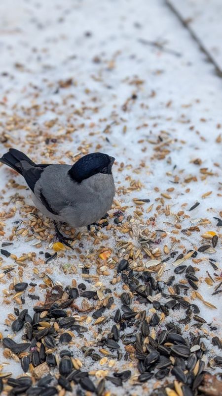 �� ������ ������, ��� ��� �� ����� ������ ����� ������������ ��������?