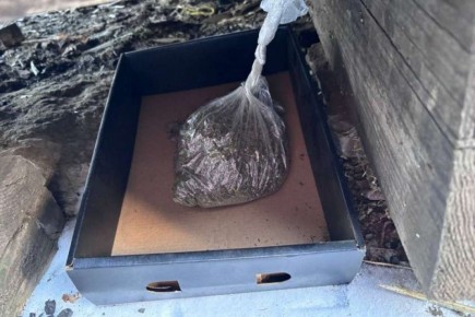 У жительницы Минусинска изъяли почти килограмм наркотиков