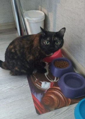 �������� ����� ������� �����