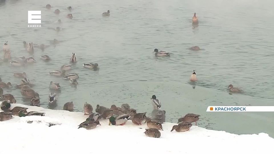 � ������� � ����������� ��������� ����� �� 20 ��������