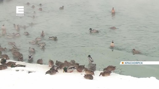 � ������� � ����������� ��������� ����� �� 20 ��������