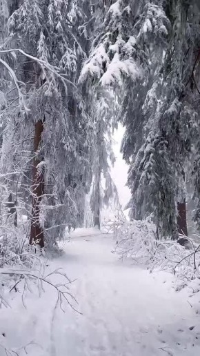 ������ ����!. ������ �������� � �����, ������ ���� ���������� �������� � ������ � ����� ����� ������� � ��������� ��� ���� �����, ����� ��� ����: �������, �������� � ��-������ ������