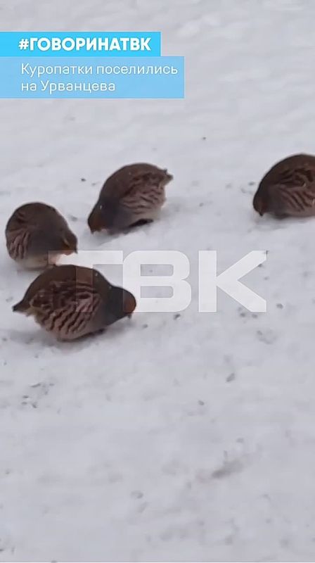 ��������� ���������� � ���� �� ���������