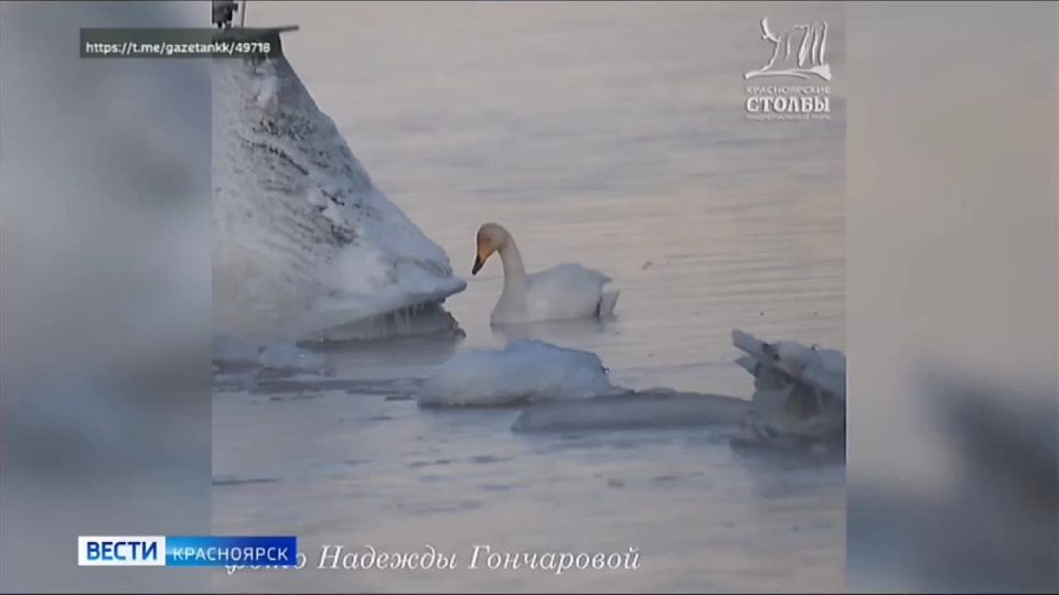 �� ������ ��������� ������������� ������