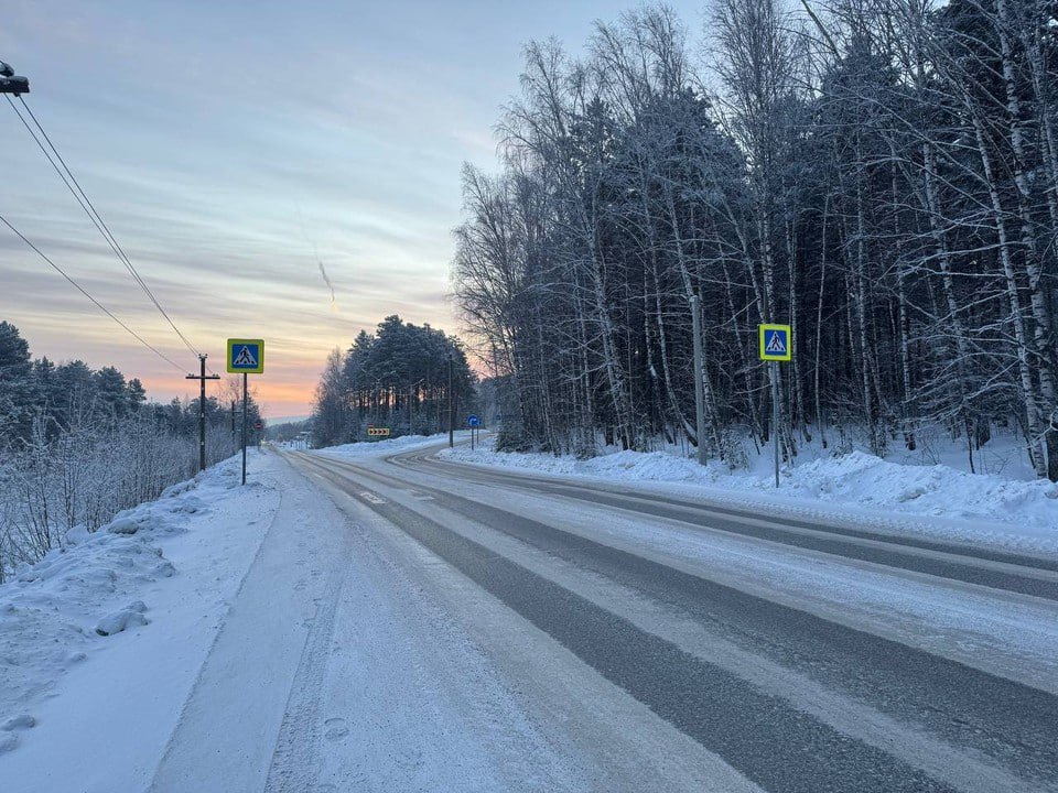 В Дивногорске осудили водителя, который сбил 11-летнего мальчика на пешеходном переходе