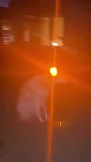 � ����������� ������������ ������� ����������