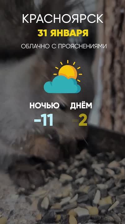 ������ �� 31 ������. ���