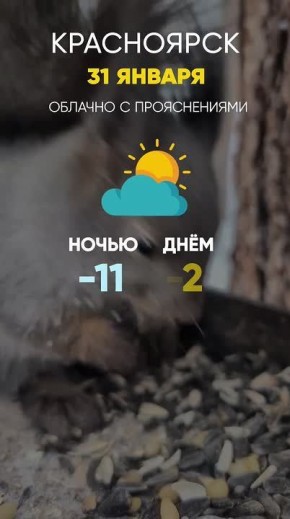 ������ �� 31 ������. ���