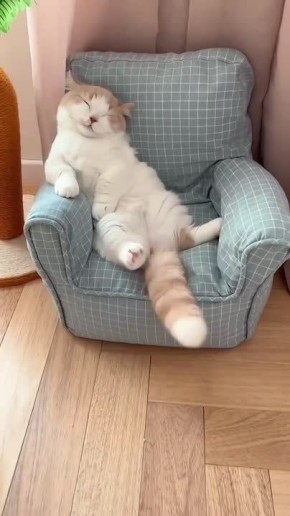 ��� - ������� ��� ������� �������?