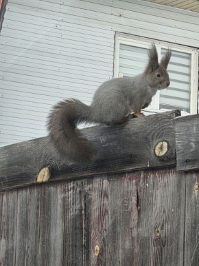 �������� �����. �� ���� ������� ����������