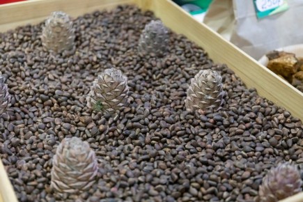 � ������������ ���� ��� �������������� ������� ����� ����������� ���������� 12 ���� ����� �����, ��� � �����