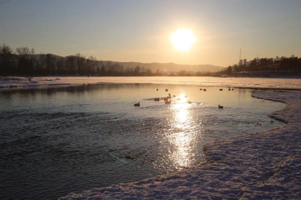 ����������� � �������� ���� ������ ���������� �� +1 �������