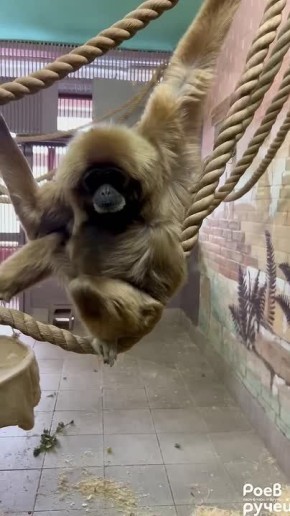 ���������� ������� � �������������� ��� ������: ��������� ������ �� ������ ����� �� ������������� "����� �����"