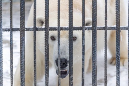 ������� ������� ������������� � ��������� ����� ������