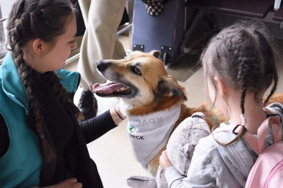 ������ ������������� ��������� �������� � �������� ����������