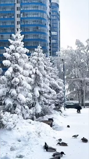 ������ ������� �� ����������